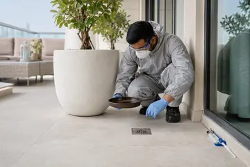 Mosquitoes and Ants in Your Dubai Apartment: How to Stop Them in Summer