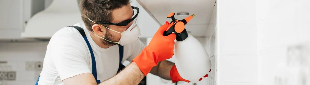 Our Pest Control Service
