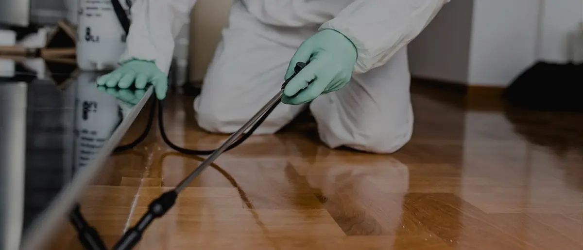 Pest Control Services